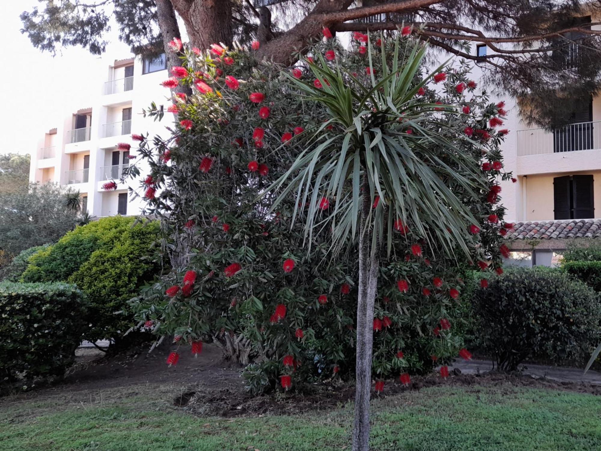 Apartamento Marina Bella Cogolin Exterior foto